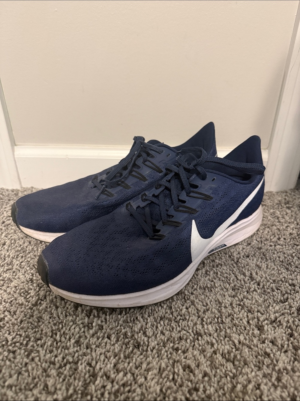 Men's Nike Pegasus - Navy - Size 10